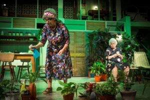 cae la noche tropical 005